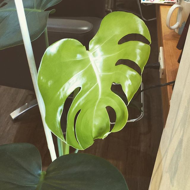 もう少し^_^がんば！