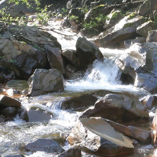 ☆連休のお知らせ☆早めのお盆休み頂きます^_^ ☆8/8.9.10日は連休となりますのでご了承下さい。ちょっくら山にこもってきます^_^